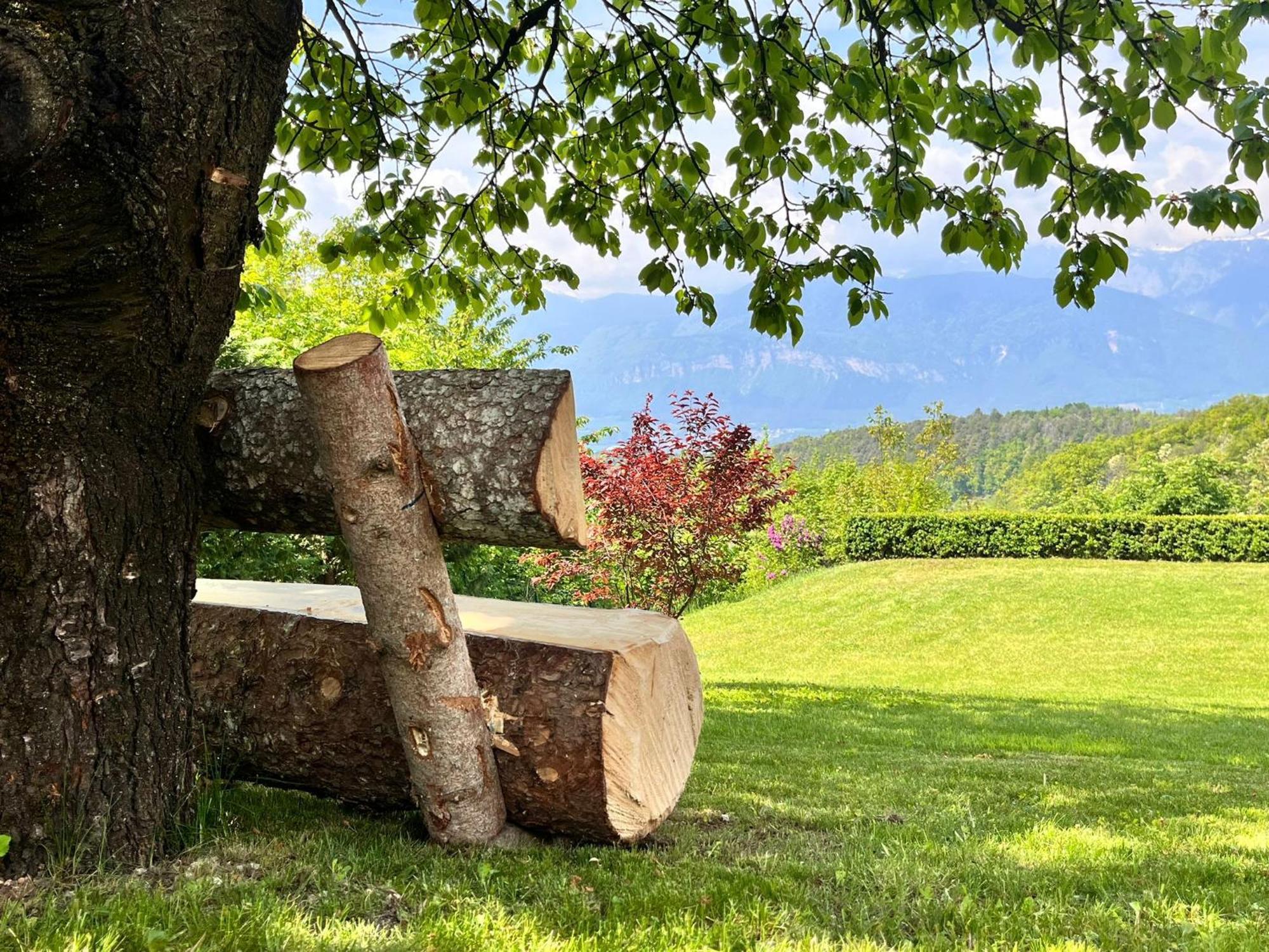 Ciasa Erica - Val Di Non Apartman Predaia Kültér fotó